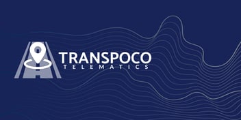 L'équipe Transpoco en télétravail