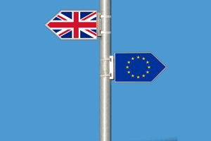 What_is_the_future_for_the_automotive_sector_and_the_fleet_industry_after_the_Brexit_vote.png